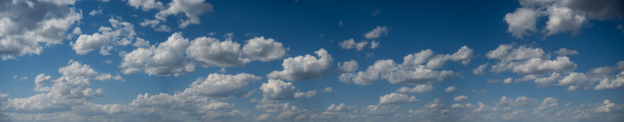 A wide panorama showing only clouds in a summer daytime sky with many scattered white clouds. The view starts just above the horizon.
