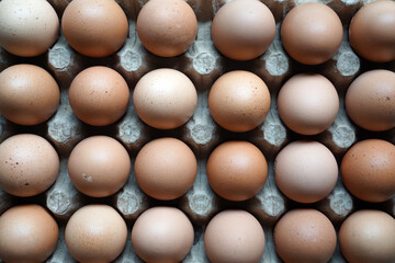 Chicken eggs in egg cartons on a wooden table  