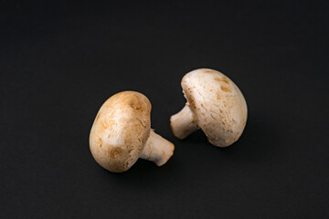 fresh champignons mushrooms on black background
