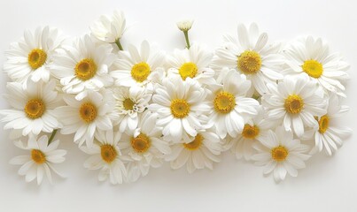 Obraz premium Dainty Daisy Delight: High Resolution Realistic Photography of Charming Bouquet on White Background