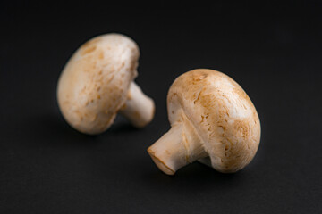 fresh champignons mushrooms on black background