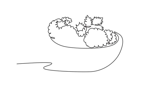 Self drawing animation of single line draw of pile sliced healthy organic raspberry in a bowl for orchard logo. Fresh berries fruitage for fruit garden icon. Continuous line draw. Full length animated