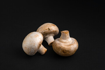 fresh champignons mushrooms on black background
