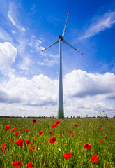 Elektrownia wiatrowa stojąca w polu czerwonych maków