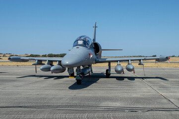Aviones de combate Alca