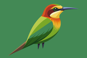  bee eater bird vector illustration