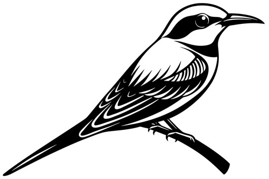 recommend clip art:  bee eater bird vector illustration
                    