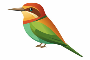  bee eater bird vector illustration