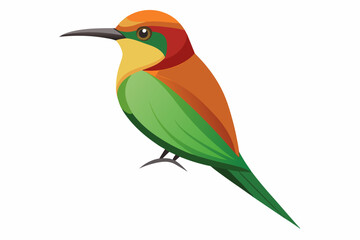  bee eater bird vector illustration