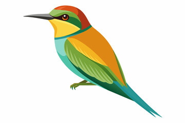  bee eater bird vector illustration