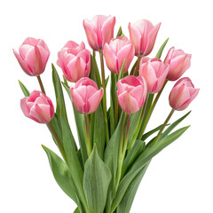 Obraz premium a bouquet of tulips on a white background, perfect for creating a transparent image