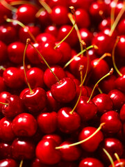 Kirschenteppich, Kirschen, Obst, erntefrisch, close up, 