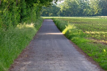 path in the field in meningsen