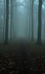 Obraz premium path middle forest fog welcome night vale young misty