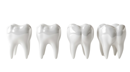 Four healthy, white teeth in isolated on transparent background