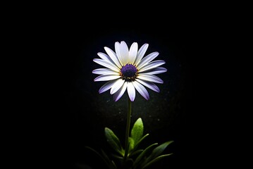 Ai Wallpaper 4k High Quality 