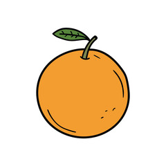 Hand drawn doodle orange with leaf on white background.