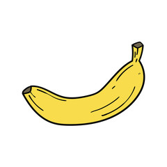 Hand drawn doodle banana on white background.