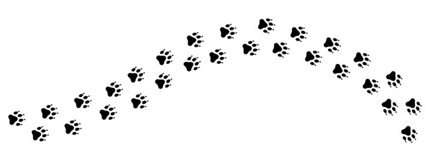Dog tracks. Paw print. A line of footprints. Vector template. Illustration isolated on white background. © graphic_arts