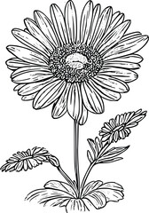 Cartoon Flower Line art Clipart