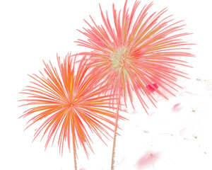 Obraz premium A vibrant explosion of colors illuminating the dark night sky, showcasing a dazzling fireworks display
