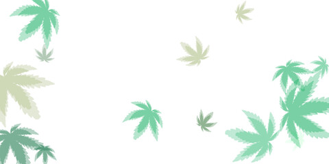 green fresh tea leaves isolated on white background