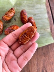ด้วง