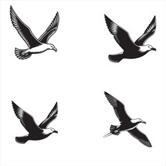 Albatross silhouette vector art white background
