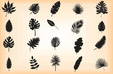 Tropical leave sets, jungle Monstera, Calathea, banana leaves. Exotic collection of silhouette plants. Abstract foliage elements in editable vector file. EPS 10.