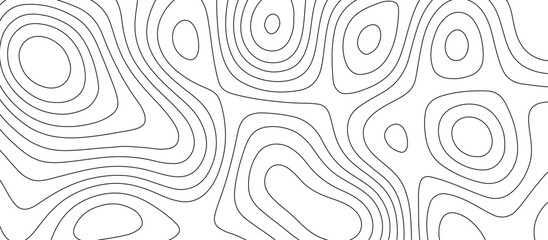 White topology and topography vector design abstract background contour map texture for print works