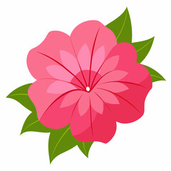 Pink Seraphina petunia flower vector illustration on white background