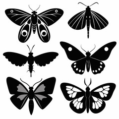 Set of butterflies moth lepidopteran insect papillon Vector silhouette © Chayon Sarker