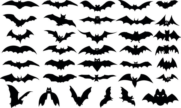 set of bats