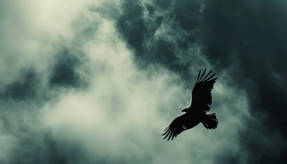 Obraz premium Freedom in Flight: The Majestic Black Kite at 7:4