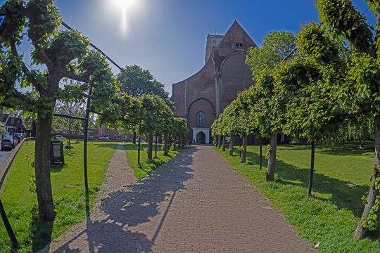 Picture of the cathedral of Brielle in Holland along an avenue of trees against a blue sky