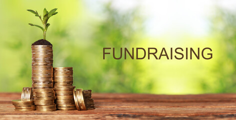Coins and green sprout on wooden table against blurred background, banner design. Fundraising