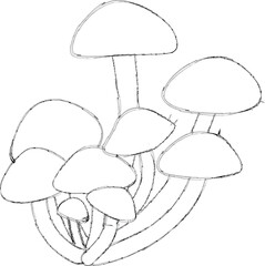 Honey mushrooms grow in the forest in autumn.