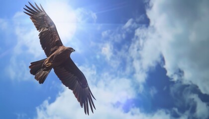 Obraz premium Graceful Black Kite Soaring Against a Stunning Blue Sky - AR 7:4