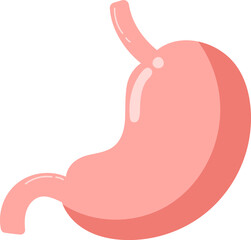 Human Stomach Hand Drawn Vector Illustration