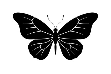 butterfly silhouette vector illustration