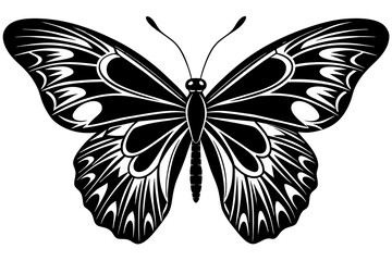 butterfly silhouette vector illustration