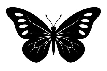 butterfly silhouette vector illustration