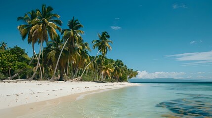 a tropical beach setting with palm trees and a clear blue sky. The sand is white and there's a blue body of water