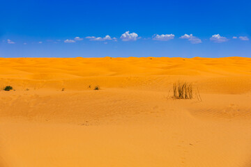 Gorący dzień, pomarańczowy piasek pustyni Sahara, niebieski kolor nieba i palące słońce. Widok po horyzont, krajobraz. Egzotyczny kraj, Tunezja © anettastar