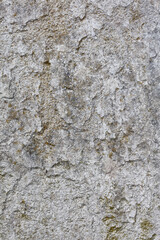 Retro white old damaged cracked wall surface macro background fine modern art high quality instant...