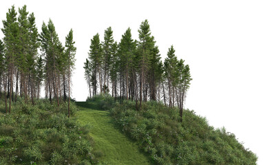 3D render meadow and pine forest on transparent background © jomphon