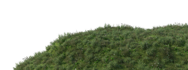 3D render meadow and pine forest on transparent background © jomphon