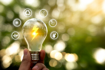 Hand holding a light bulb with icons of energy sources for renewable, sustainable development. ecology and world sustainable environment concept. Saving the environment