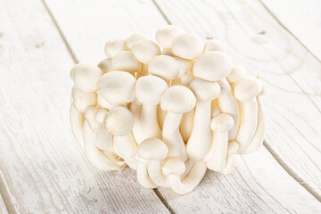 Japanese Shimeji mushroom for cooking