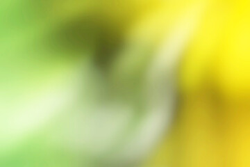 Closeup macro shot of a vibrant yellow pattern in grass. The intricate details and textures are beautifully captured in this stunning photograph.